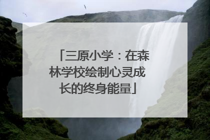 三原小学：在森林学校绘制心灵成长的终身能量