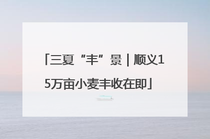 三夏“丰”景｜顺义15万亩小麦丰收在即