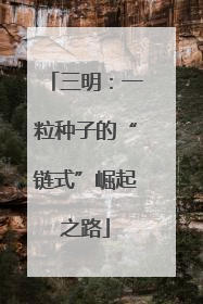 三明：一粒种子的“链式”崛起之路
