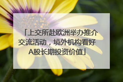 上交所赴欧洲举办推介交流活动，境外机构看好A股长期投资价值