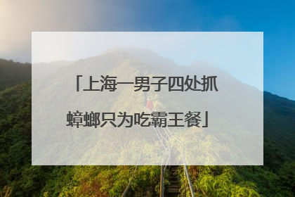 上海一男子四处抓蟑螂只为吃霸王餐