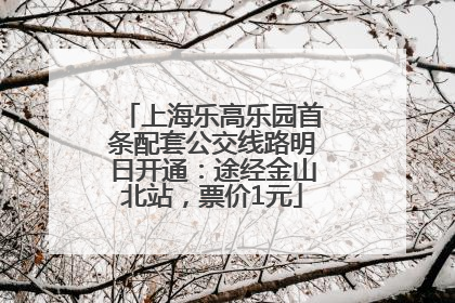 上海乐高乐园首条配套公交线路明日开通：途经金山北站，票价1元