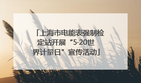 上海市电能表强制检定站开展“5·20世界计量日”宣传活动