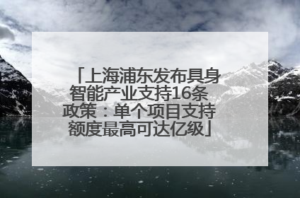 上海浦东发布具身智能产业支持16条政策：单个项目支持额度最高可达亿级