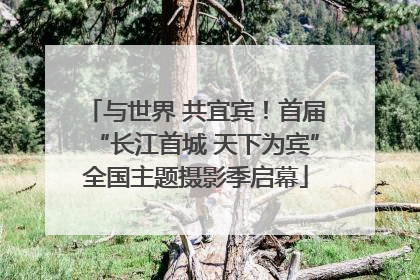 与世界 共宜宾！首届“长江首城 天下为宾”全国主题摄影季启幕