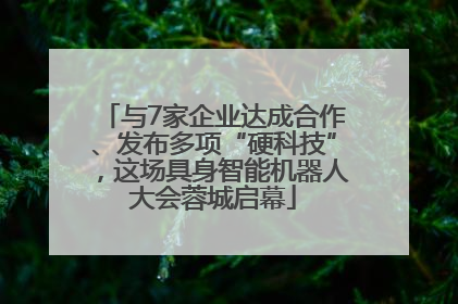 与7家企业达成合作、发布多项“硬科技”，这场具身智能机器人大会蓉城启幕
