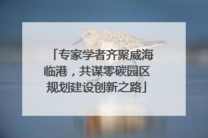 专家学者齐聚威海临港，共谋零碳园区规划建设创新之路