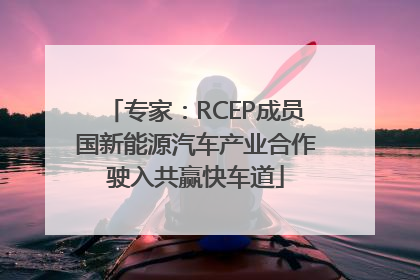 专家：RCEP成员国新能源汽车产业合作驶入共赢快车道