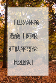 世界杯预选赛丨阿根廷队平哥伦比亚队