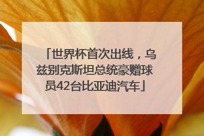 世界杯首次出线，乌兹别克斯坦总统豪赠球员42台比亚迪汽车