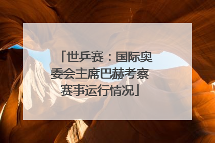 世乒赛：国际奥委会主席巴赫考察赛事运行情况
