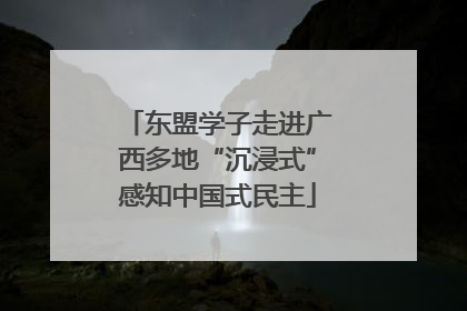 东盟学子走进广西多地“沉浸式”感知中国式民主