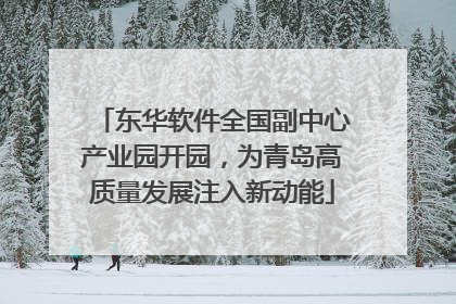 东华软件全国副中心产业园开园，为青岛高质量发展注入新动能