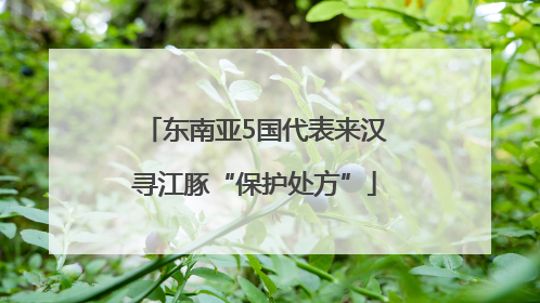 东南亚5国代表来汉寻江豚“保护处方”