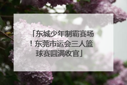 东城少年制霸赛场！东莞市运会三人篮球赛圆满收官