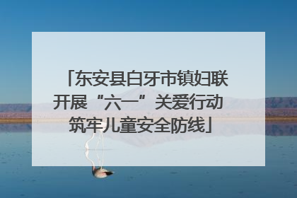 东安县白牙市镇妇联开展“六一”关爱行动 筑牢儿童安全防线