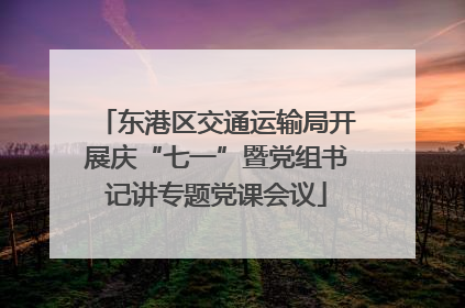 东港区交通运输局开展庆“七一”暨党组书记讲专题党课会议