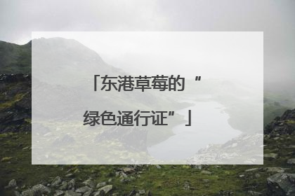 东港草莓的“绿色通行证”