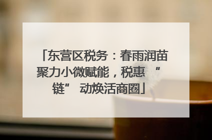 东营区税务：春雨润苗聚力小微赋能，税惠 “链” 动焕活商圈