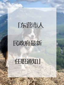 东营市人民政府最新任职通知