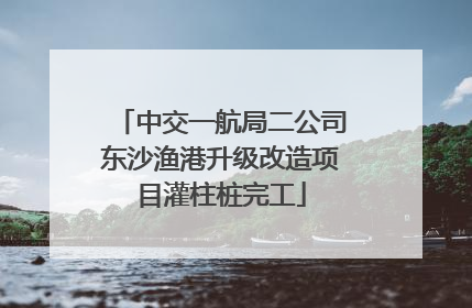 中交一航局二公司东沙渔港升级改造项目灌柱桩完工