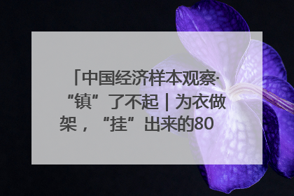 中国经济样本观察·“镇”了不起｜为衣做架，“挂”出来的80亿元“衣架产业”