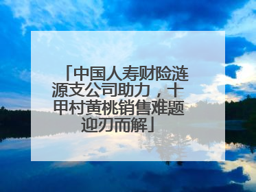 中国人寿财险涟源支公司助力，十甲村黄桃销售难题迎刃而解