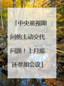 中央巡视期间他主动交代问题！上月底还参加会议
