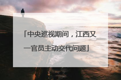 中央巡视期间，江西又一官员主动交代问题