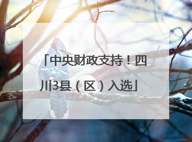 中央财政支持！四川3县（区）入选