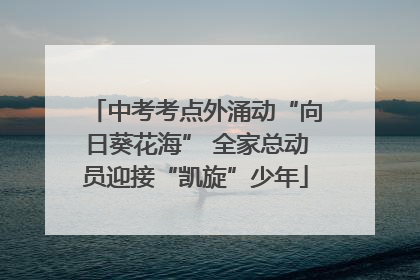 中考考点外涌动“向日葵花海” 全家总动员迎接“凯旋”少年