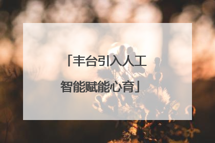 丰台引入人工智能赋能心育