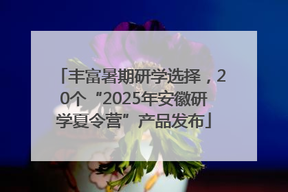 丰富暑期研学选择，20个“2025年安徽研学夏令营”产品发布