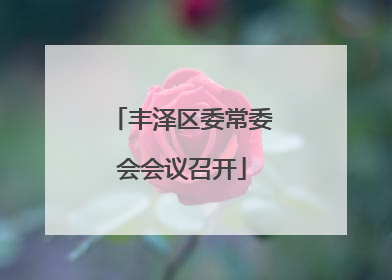 丰泽区委常委会会议召开