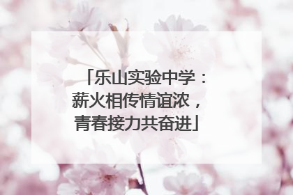 乐山实验中学：薪火相传情谊浓，青春接力共奋进