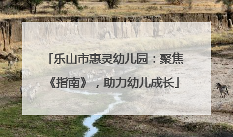 乐山市惠灵幼儿园：聚焦《指南》，助力幼儿成长