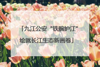 九江公安“铁腕护江”绘就长江生态新画卷