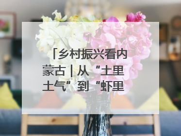 乡村振兴看内蒙古｜从“土里土气”到“虾里虾气” 一田双收模式火出圈