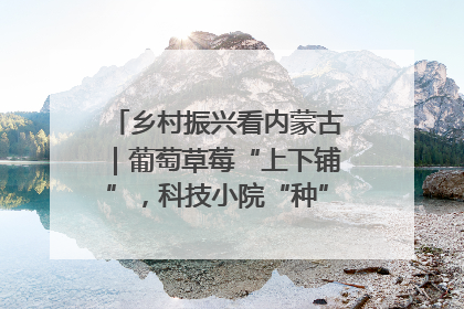 乡村振兴看内蒙古｜葡萄草莓“上下铺”，科技小院“种”出三倍效益