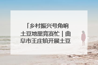 乡村振兴号角响 土豆地里竞赛忙｜曲阜市王庄镇开展土豆收获劳动竞赛