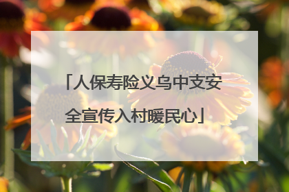 人保寿险义乌中支安全宣传入村暖民心