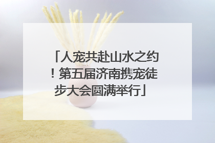 人宠共赴山水之约！第五届济南携宠徒步大会圆满举行