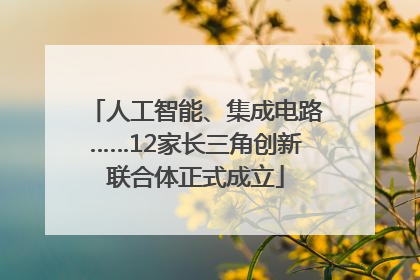人工智能、集成电路……12家长三角创新联合体正式成立