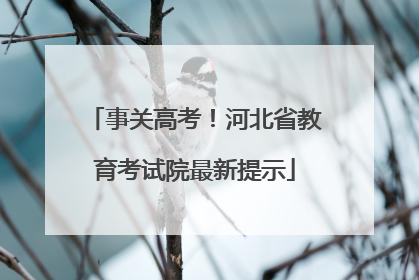 事关高考！河北省教育考试院最新提示