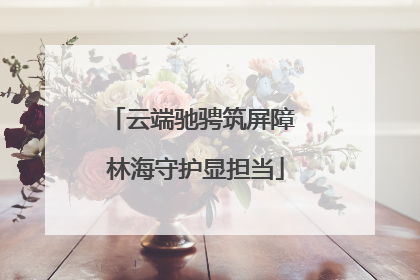 云端驰骋筑屏障 林海守护显担当