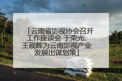 云南省影视协会召开工作座谈会 于荣光、王砚辉为云南影视产业发展出谋划策