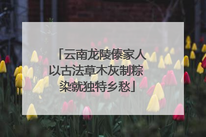 云南龙陵傣家人以古法草木灰制粽 染就独特乡愁