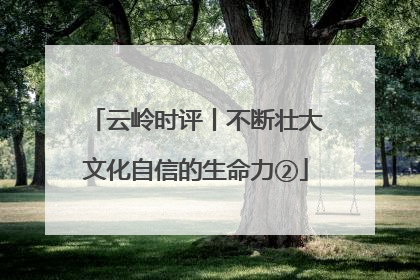 云岭时评丨不断壮大文化自信的生命力②