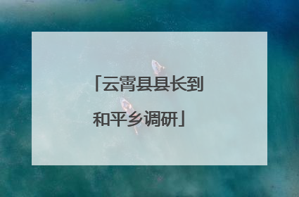 云霄县县长到和平乡调研
