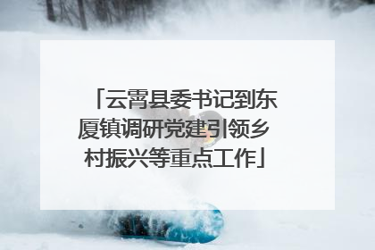 云霄县委书记到东厦镇调研党建引领乡村振兴等重点工作